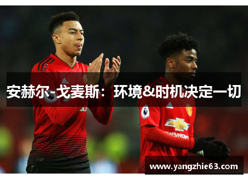 安赫尔-戈麦斯：环境&时机决定一切